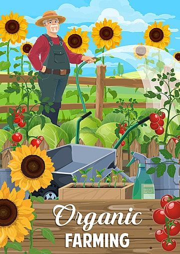 farmer,farm,vector,agriculture,gardening,agrarian,farming,harvest,vegetable,field,tomato,cabbage,garden,poster,plant,bio,crop,people,growing,watering,water,sunflower,industry,wheelbarrow,man,worker,village,food,work,country,farmland,land,grow,eco,agronomy,farmhouse,cultivation,equipment,countryside,ranch,fertilizer,pesticide,meal,cloud,tiller,arable,plow,tillage,at,plants,and,sunflowers Organic Farming Images, Agriculture Design Poster, Wheelbarrow Man, Agriculture Poster Design Ideas, Organic Farming Poster, Farming Ideas Agriculture, Agriculture Drawing, Poster Making Ideas, Cabbage Garden