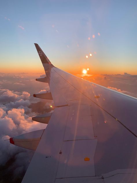 A sunrise on an flight whilst flying from Auckland to Los Angeles Pretty Sunrise, Aesthetic Photos, Travel Aesthetic, Aesthetic Photo, Auckland, Golden Hour, Airplane View, Indian Fashion, Flight