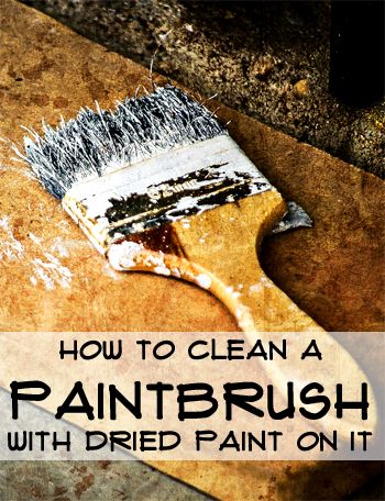 How to Clean a Paintbrush with Dried Paint On It House Painting Tips, Cleaning Paint Brushes, Mildew Remover, Cleaning Painted Walls, Liquid Fabric Softener, Freezer Burn, Paint Sprayer, Diy Paint, Next Home