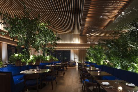 inside kengo kuma's charming tokyo edition hotel in toranomon Ian Schrager, Japanese Traditional Architecture, Tokyo Skyline, Edition Hotel, Traditional Japanese Architecture, Traditional Japanese House, Kengo Kuma, Tokyo City, Japanese Architect