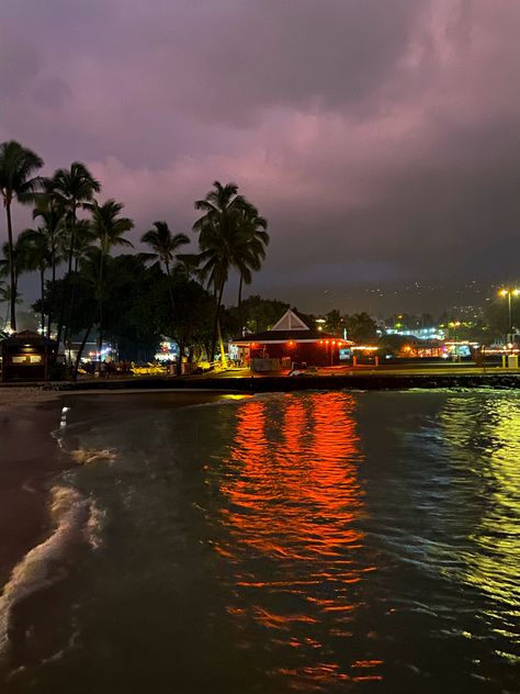 At Night, Palm Trees, The Beach, Hawaii, Trees