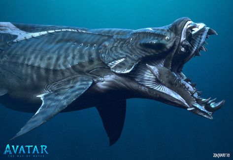 Zachary Berger on Twitter: "Official #conceptart for the "Akula" for #AvatarTheWayOfWater. A thread 🧵. On my first day after being hired, @DylanColeArt gave me my first assignment: "I need you to design a Pandoran shark". No pressure.⁠ https://t.co/l2hq8E9F27" / Twitter Mouth Shapes, Coral Pictures, Ancient Fish, Avatar Animals, Creature Fantasy, Concept Art Gallery, Avatar Films, Avatar Picture, Beast Creature