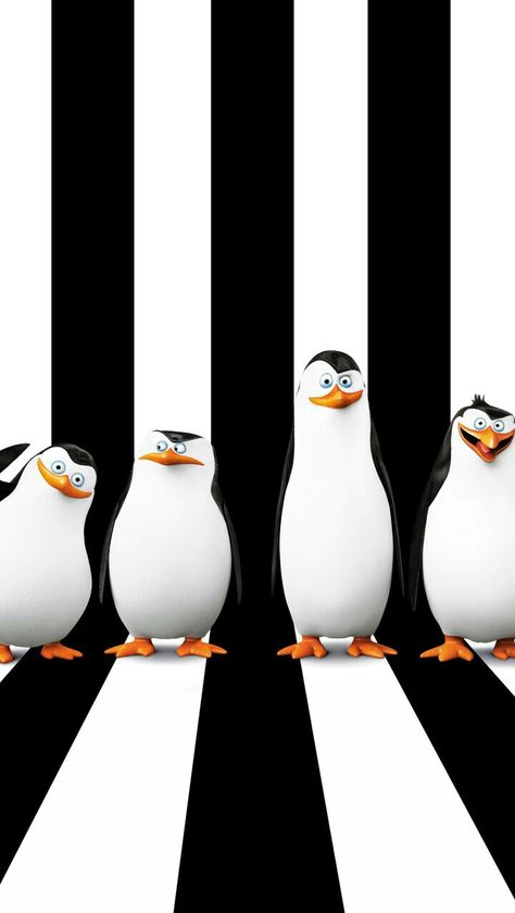 Penguins Of Madagascar Wallpapers, Madagascar Penguins Wallpaper, Rico Penguins Of Madagascar, Madagascar Penguins, Penguin Background Wallpapers, Minion Wallpaper Iphone, Penguins Of Madagascar Kowalski, Penguin Wallpaper, Happy Birthday Minions