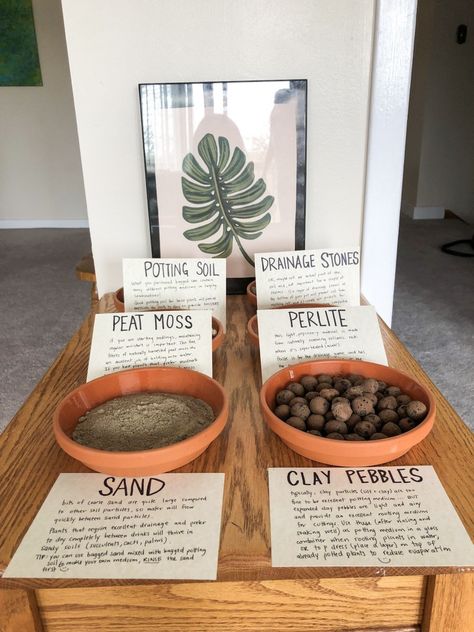 Plant Propagation Party, Plant Party Activities, Plant Swap Party, Plant Exchange Party, Plant Swap Ideas, Plant Festival, Plant Truck, Plant Swap, Poshmark Packaging