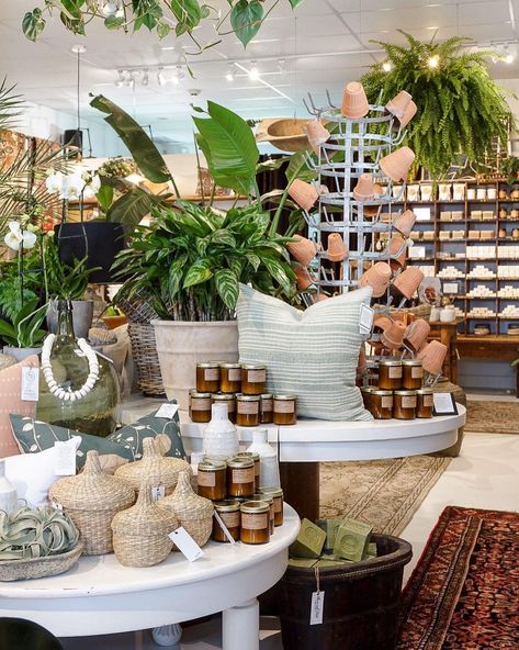 Flower Pot Display Ideas, Terracotta Pot Display, Plant Store Display Visual Merchandising, Boho Retail Display, Percy Waters, Boho Display, Garden Center Displays, Terra Cotta Pots, Boutique Display