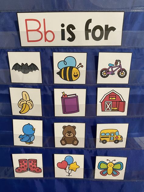 Preschool Classroom Alphabet Display, Pre K Sign In Ideas, Alphabets Chart For Preschool, Alphabet In Classroom Wall, Beginning Kindergarten, Pre K Alphabet Book, Alphabet Pocket Chart, Letter Preschool, Alphabet Display