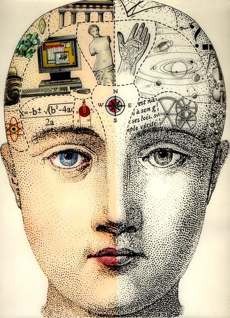 Phrenology Head, Right Brain, Altered Art, Collage Art, Anatomy, Astrology, Art Journal, Brain, Sketch Book