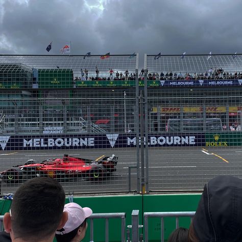 Australian Grand Prix Formula 1, Driver Job, Watch F1, Australian Grand Prix, F1 Driver, F1 Cars, Daniel Ricciardo, A Vision Board, Charles Leclerc