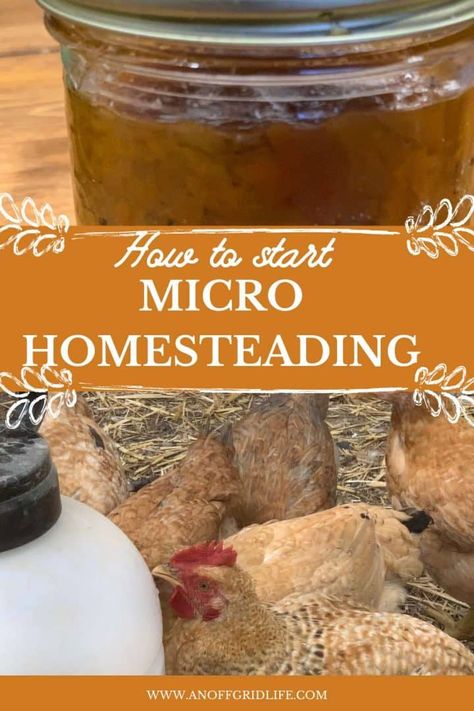 Vegan Homesteading, Micro Homesteading, Apartment Homesteading, Off Grid Homestead, Micro Farm, Modern Homesteading, Homesteading Skills, Urban Homesteading, Seed Saving