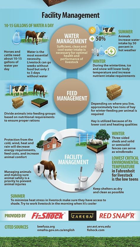 Pasture Management, Homesteading Animals, Smart Farm, Raising Farm Animals, Farm Plans, Livestock Farming, Farm Layout, Animal Husbandry, Educational Infographic