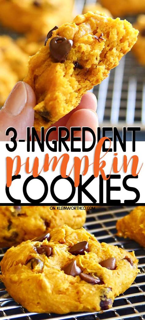 3 Ingredient Pumpkin Cookies, 3 Ingredient Pumpkin, Pumpkin Cookies Easy, Autumn Foods, Canned Pumpkin Recipes, Pumpkin Pie Oatmeal, 3 Ingredient Cookies, Pumpkin Cookie Recipe, Pumpkin Recipes Easy