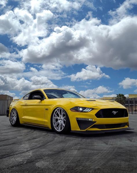 Detroit Usa, Yellow Mustang, Ford Mustang Cobra, Mustang Cobra, Mustang Cars, Mustang Shelby, Mustang Gt, Exotic Cars, Ford Mustang