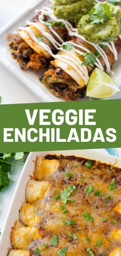 These Vegetable Enchiladas are filled with roasted veggies, cheese and homemade enchilada sauce for an easy Mexican dinner at home! Healthy Enchilada Recipe Vegetarian, Roasted Veggie Enchiladas, Roasted Vegetable Enchiladas, Veg Enchiladas Vegetarian, Veggie Enchilada Recipe, Vegetable Enchilada Casserole, Enchiladas Veggie, Roasted Vegetable Tacos, Veggie Enchilada Casserole