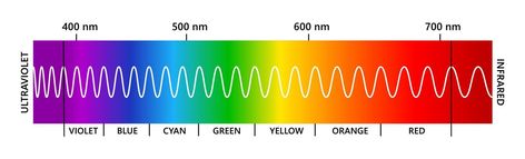 Eye Vector, Visible Light Spectrum, Light Spectrum, Visible Spectrum, Electromagnetic Spectrum, Educational Illustration, Vector Gradient, Human Eye, Color Spectrum