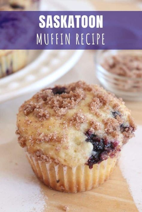 Saskatoon Recipes, Saskatoon Berry Recipe, Greek Yogurt Blueberry, Greek Yogurt Blueberry Muffins, Yummy Muffins, Blueberry Yogurt Muffins, European Cakes, Blueberry Muffin Recipe, Chocolate Chip Muffin Recipe