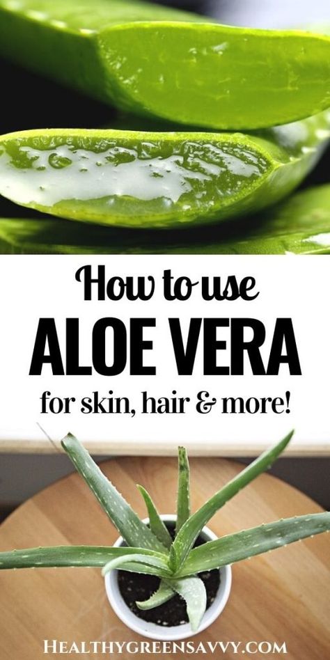 If you're only going to get one houseplant, make it an aloe! This incredible plant cleans your air, heals your sunburn, and much more! Click to find out the amazing uses for aloe vera #aloe #aloevera #naturalremedies #homeremedies #houseplants #naturalhome Uses For Aloe, Aloe Vera For Sunburn, Aloe Vera Uses, Aloe Vera For Skin, Healthy Nutrition Plan, Aloe Vera Plant, Proper Nutrition, Healthy Nutrition, Nutrition Tips