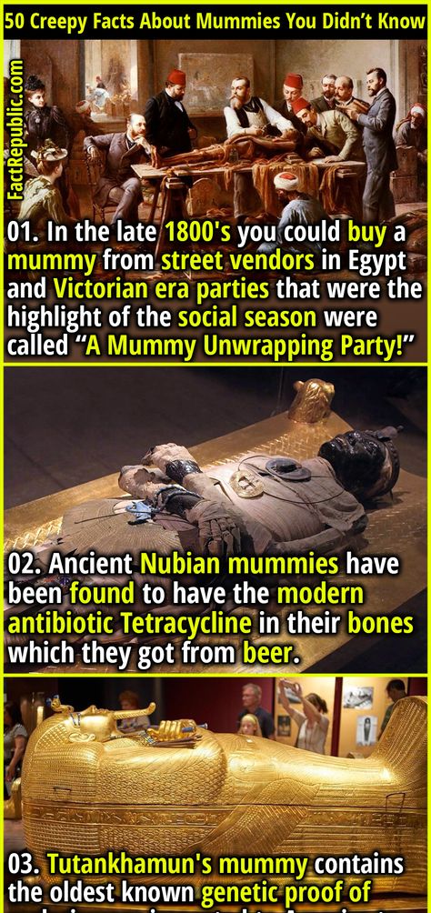 Tutankhamun Mummy, World History Facts, Creepy History, Fact Republic, Ancient Egypt History, Ancient History Facts, Scary Facts, Brain Facts, True Interesting Facts