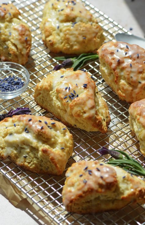 Spring Scones, Lavender Recipes Baking, Honey Lavender Bread, Lavender Baked Goods, Culinary Lavender Recipes, Honey Lavender Cookies, Lavender Dishes, Lavender Honey Butter, Lavender Scones Recipe