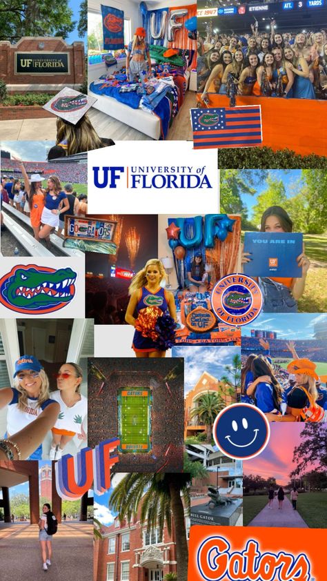 UNIVERSITY OF FLORIDA 🧡💙🌴🎉🏈 Dream Collage, Colleges In Florida, Us Universities, Vet School, College Planning, College Aesthetic, Dream College, Dream School, Future Goals