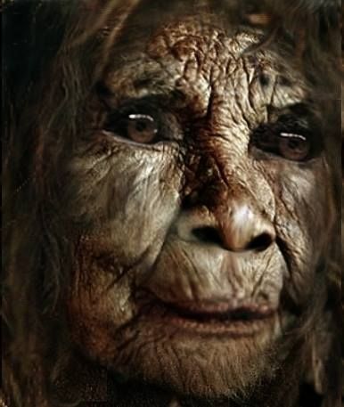 I saw this on one of BF/FB friends page.  This is a replica of a female bigfoot described by an eyewitness. Female Bigfoot Art, Female Sasquatch, Female Bigfoot, Bigfoot Movies, Sasquatch Funny, Sasquatch Sightings, Bigfoot Art, Eye Witness, Bigfoot Sightings