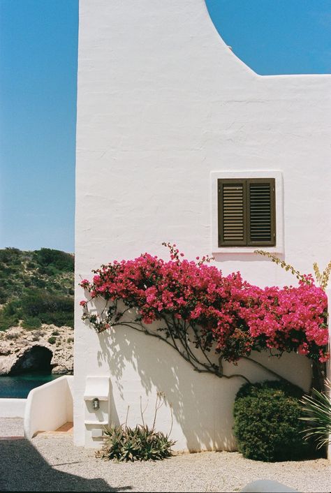 Ibiza | Analog travel photography series - Patricia Imbarus Photography Studio Casita Exterior, Ibiza Aesthetic, Spanish Aesthetic, Ibiza Vibes, Photography Series, Adventure Photographer, Nice Places, Conde Nast Traveler, Photography Studio