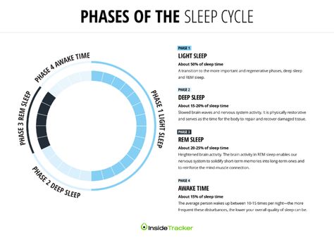 Sleep For Athletes, Brain Sleep, Nervous System Activities, Sleep Phases, Rem Sleep, No Sleep, Adequate Sleep, Mom Entrepreneur, Cortisol Levels