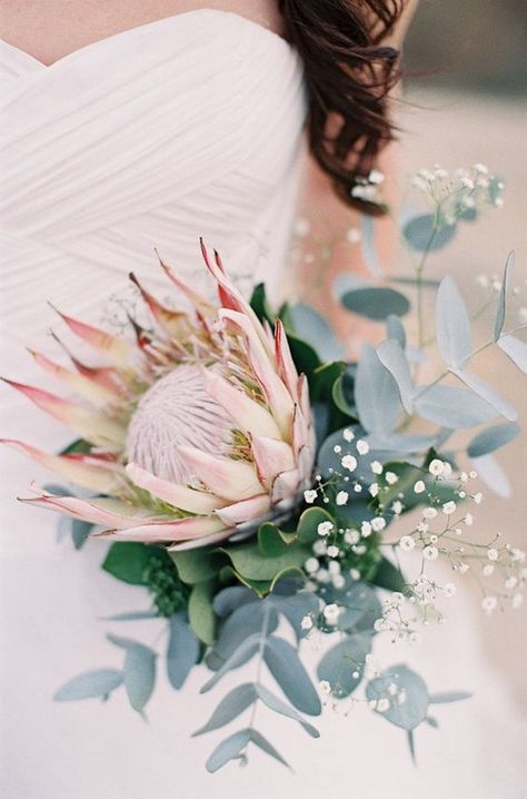 protea eucalyptus and babys breath wedding bouquet     #wedding #weddings #weddingbouquets #weddingtables #himisspuff Protea Bouquet Wedding, Protea Wedding, Protea Bouquet, Safari Wedding, Stone Photography, Tropical Wedding Flowers, Tafel Decor, Unusual Flowers, Wedding Flower Arrangements