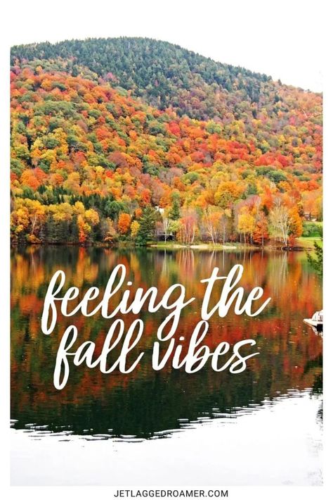 Almost Fall Quotes, Beautiful Fall Quotes, Autumn Fall Quotes, Fall Is Here Quotes, Leaf Captions For Instagram, Quotes For Fall Season, Fall Couple Quotes, Autumn Quotes Funny, Fall Funny Quotes