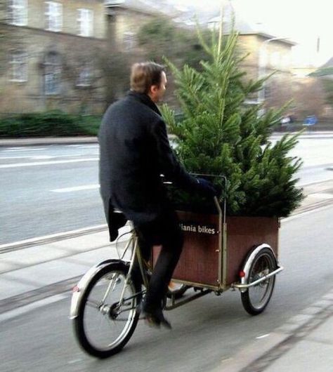 Photo Riding A Bike, Oh Christmas Tree, Noel Christmas, Merry Little Christmas, Christmas Love, Love Christmas, Christmas Joy, Christmas Inspiration, Yule