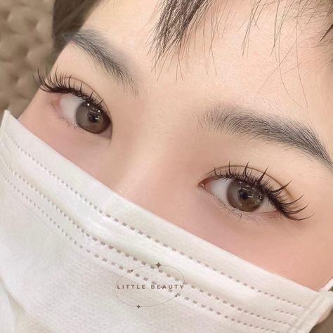 Kpop Eyelashes, Japanese Eyelash Extensions, Lash Extensions On Hooded Eyes, Lash Extensions Asian Eyes, Lash Extensions Hooded Eyes, Eyelash Extensions For Hooded Eyes, Asian Eyelash Extensions, Korean Lashes, Korean Eyelash Extension