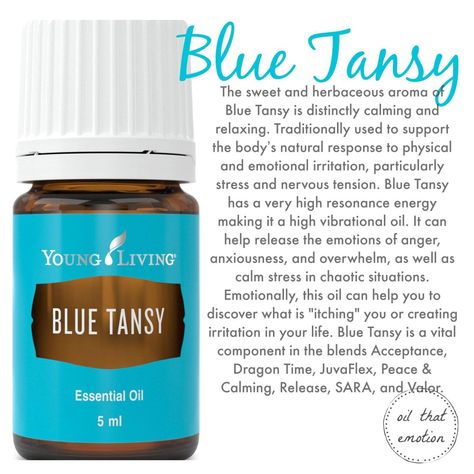 Blue Cypress Diffuser Blend, Blue Tansy Essential Oil, Blue Cypress, Oil Therapy, Essential Oils Collection, Essential Oils 101, Young Living Essential Oils Recipes, Yl Oils, Essential Oils Guide