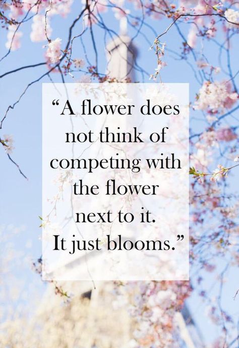 A Flower Just Blooms life quotes quotes quote tumblr life quotes and sayings Citation Force, Great Motivational Quotes, Quotes Thoughts, Life Quotes Love, Flower Quotes, Best Inspirational Quotes, E Card, Quotes About Strength, Inspiring Quotes About Life