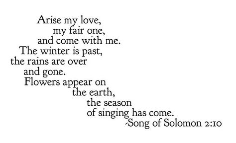 Song Of Solomon Quotes, On Earth We Are Briefly Gorgeous, Songs Of Solomon, Undeserved Grace, Book Of Solomon, Literary Love Quotes, I Carry Your Heart, Dark Nights, Beautiful Quote