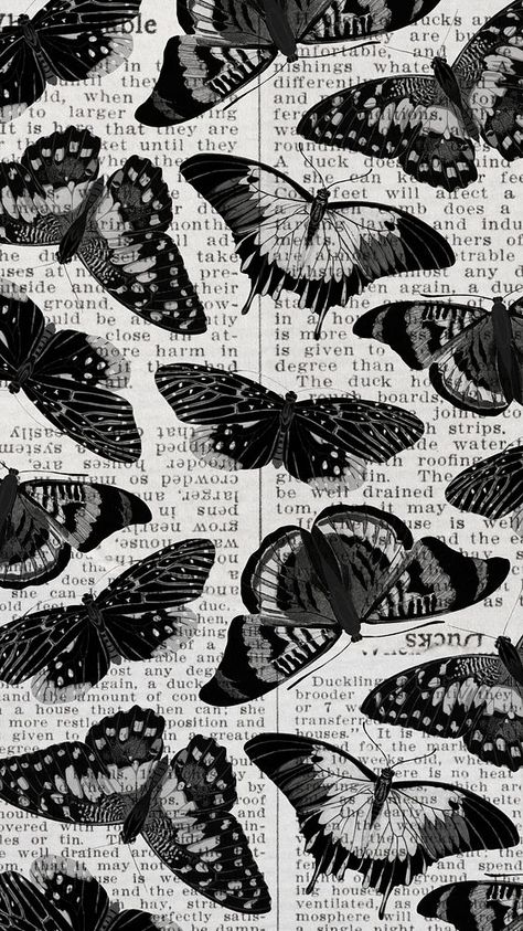 Black Butterfly Wallpaper, Phone Wallpaper Vintage, Black And White Wallpaper Aesthetic, Grey Aesthetic Wallpaper, Butterfly Phone Wallpaper, Wallpaper Butterfly, Grey Aesthetic, Wallpaper Vintage, Black Butterfly