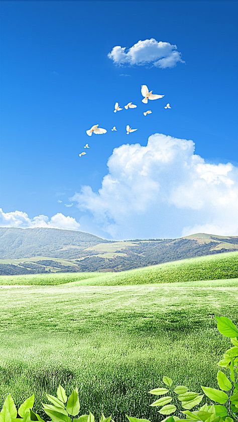 Sky And Land Aesthetic, Sky With Birds, Sky Background Images, Land Background, Grass Land, Bird Background, Backgrounds Landscape, Free Land, Field Background