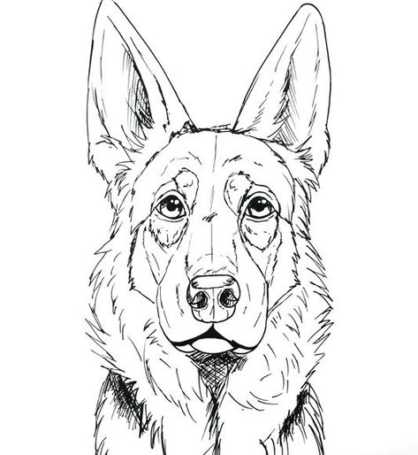 This page will show you how to draw a German Shepherd’s face and head in step-by-step guides.  The first tutorials will be easier and for beginners, and each tutorial will get more advanced. How to Draw a German Shepherd Face Step-by-Step This will be one of the easier tutorials, which can be followed along step-by-step. ... German Shepherd Painting, Dog Face Drawing, Tatoo Dog, Dog Drawing Tutorial, German Shepherd Art, Dog Portraits Painting, Dog Portraits Art, Dog Sketch, Canine Art