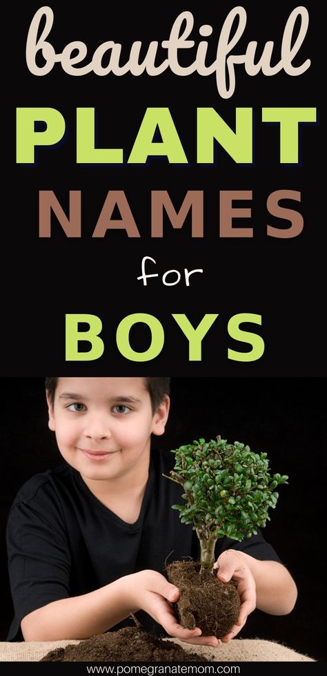 Plant names for boys inspired by flowers, trees, herbs. Nature-inspired earthy plant baby names for your boy. via @pomegranatemom Tree Names For Babies, Tree Names For Boys, Plant Names For Boys, Flower Names For Boys, Plant Names Ideas, Plant Baby Names, Nature Boy Names, Nature Baby Names, Nature Names For Boys