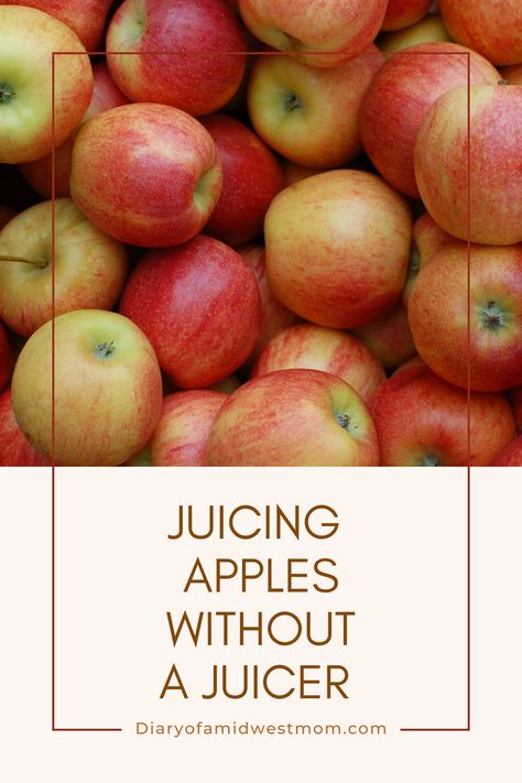 No juicer needed, make this apple juice recipe in minutes! Apple Juice Recipes, Make Apple Juice, Homemade Apple Juice, Apple Juice Recipe, Freezing Apples, Warm Apple Cider, Juicing With A Blender, Nut Milk Bag, Warm Apple