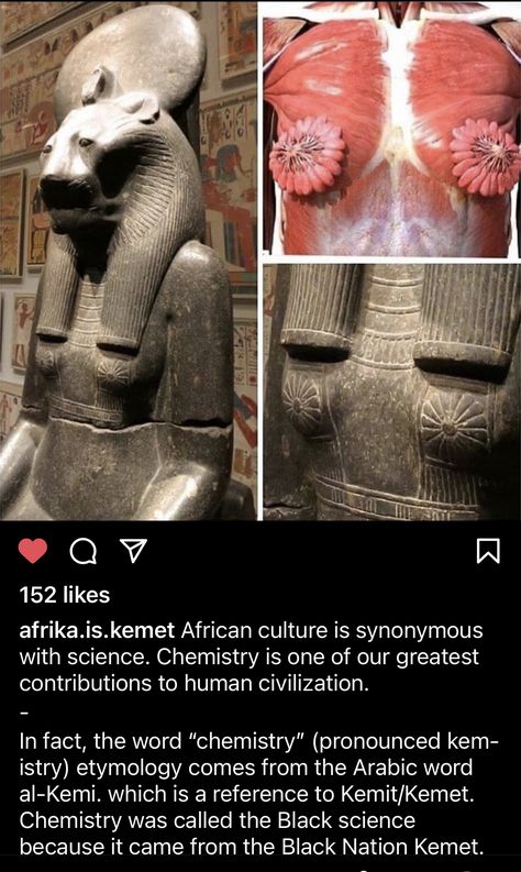 Ancient Egypt Science, Ancient Egyptian Beauty Secrets, Annunaki Ancient Aliens History, Ancient Memes, Scary Facts, Ancient History Facts, History Facts Interesting, Ancient Egypt Memes, Black Knowledge