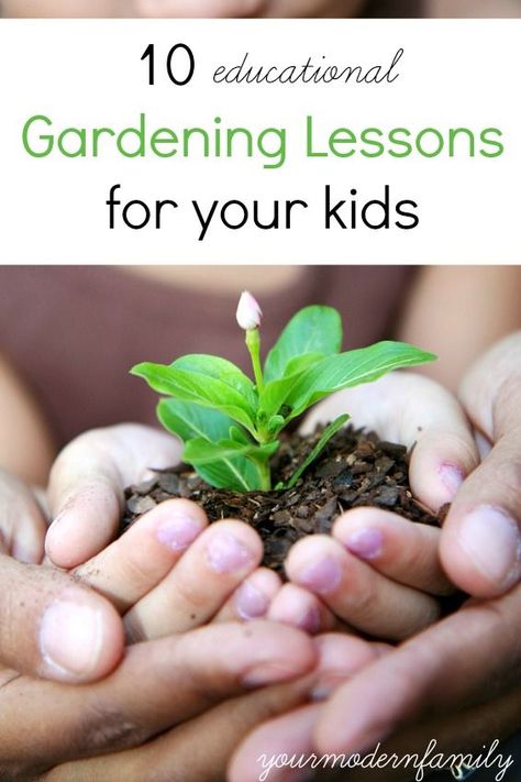 WHY I plant my garden (and its not why you think)… Garden Improvement, Plants Unit, Homeschool Room, Gardening 101, School Garden, A Thought, Spring Sign, Smart Kids, Gardening For Kids