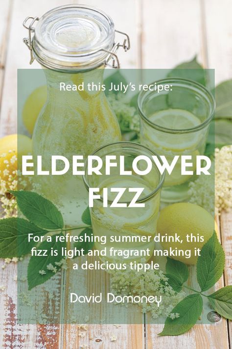 Elderflower Drinks Non Alcoholic, Elder Flower Mocktails, Elderflower Cordial Recipe, Elder Flower Cocktail, Lemon Elderflower Cocktail, Drinks With Elderflower Liquor, Elderflower Liquor Cocktails, Elder Flower Cordial, Elderflower Drink