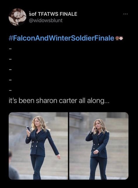 Cap Quartet Fan Art, Cap Quartet, Captain Marvel Funny, Winter Soldier Memes Funny, Sharon Carter, Falcon And Winter Soldier Funny Memes, Guardians Of The Galaxy Memes Hilarious, Marvel Movies, Roman Empire