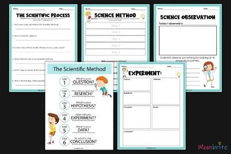 Scientific Method For Kids [Free Printable Worksheets] Scientific Method Printable, Scientific Method For Kids, Scientific Method Experiments, Scientific Method Steps, The Scientific Method, Health And Physical Education, Kids Exploring, Scientific Method, Learning Science