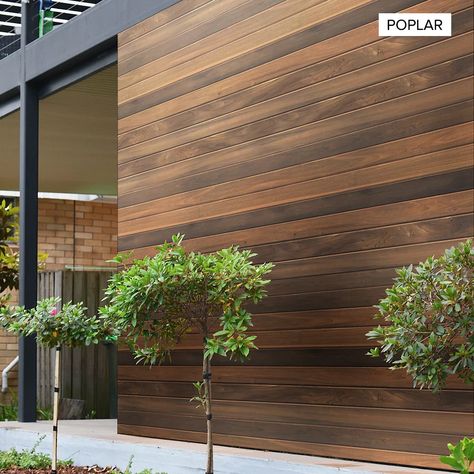 walnut exterior modern - Google Search Exterior Paneling Ideas, Wooden Cladding Exterior Wall, Wood Cladding Exterior Modern, External Wood Cladding, Vertical Wood Cladding Exterior, Exterior Wood Paneling, Horizontal Wood Cladding Modern Exterior, Modern Cladding, Exterior Wood Cladding