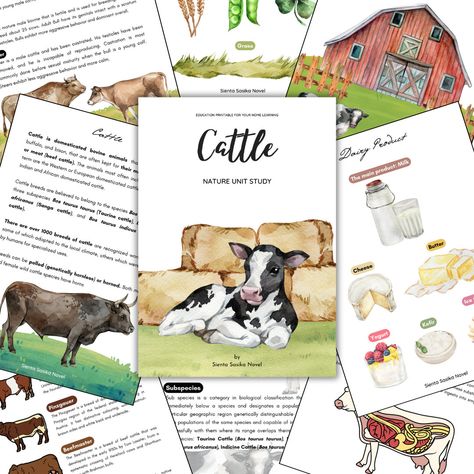 Cow Unit Study, Nature Unit Study, Science Homeschool, Study Science, Moon Unit, Kindergarten Units, Farm Unit, Preschool Units, Farm Day