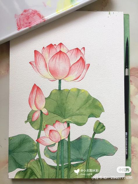 Circular Canvas Painting, Watercolor Lotus, Lotus Painting, Watercolor Art Landscape, Botanical Floral Art, Indian Art Gallery, Flower Art Drawing, Architecture Drawing Art, Abstract Art Painting Diy