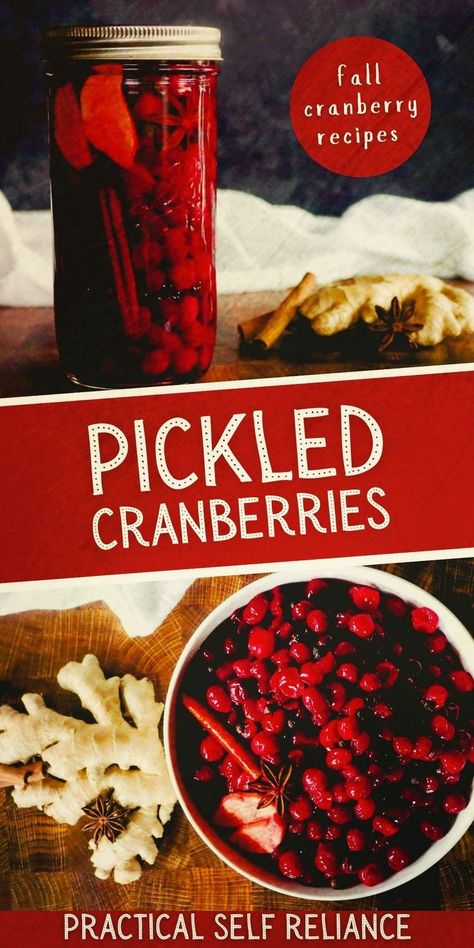 Thanksgiving Cranberry Recipes, Cranberry Recipes Thanksgiving, Canning Fruit Recipes, Seasonal Recipes Fall, Thanksgiving Cranberry, Easy Pickling Recipes, Cranberry Sauce Thanksgiving, Cranberry Thanksgiving, Canning Fruit