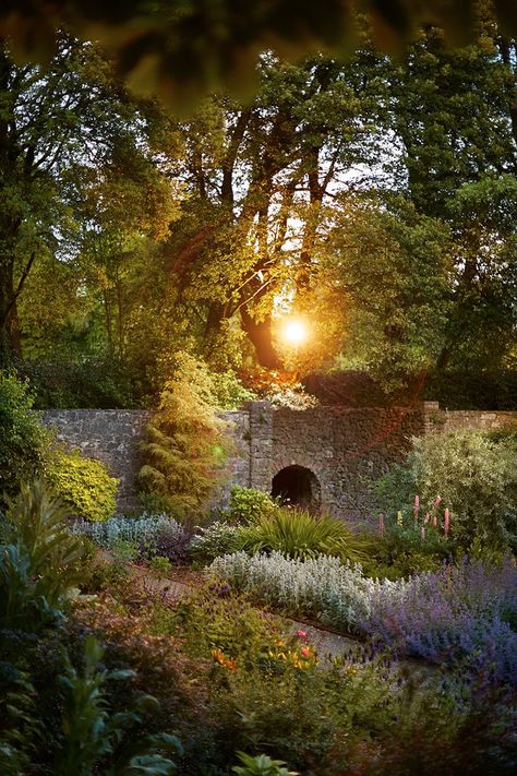 Ashford Castle: Stunning pictures from inside refurbished luxury resort - Irish Mirror Online Secret Garden Aesthetic, Ashford Castle Ireland, Secret Garden Door, Garden Aesthetics, Ashford Estate, Ashford Castle, Garden Door, Garden Suite, Aesthetic Garden