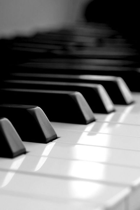 Piano Wallpaper Background Piano Photography Art, Music Keyboard Aesthetic, Music Keyboard Wallpaper, Piano Wallpaper Iphone, Aesthetic Piano Pictures, Keyboard Piano Aesthetic, Piano Aesthetic Wallpaper, Piano Black And White, Keyboard Photography