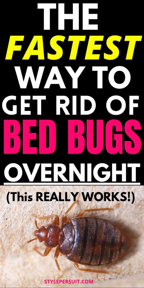 Dealing with a bed bug infestation can be a nightmare, but with the right approach, you can effectively eliminate these pesky pests from your home using do-it-yourself (DIY) methods. From homemade bed bug killers to practical strategies, click to check out the best hacks on how to get rid of bed bugs quickly and effectively: Natural Bed Bug Remedies, How To Get Rid Of Bed Bugs For Good, Homemade Bed Bug Spray, Bed Bugs How To Get Rid Of Diy, Kill Bed Bugs Fast, How To Kill Bed Bugs, Diy Bed Bug Spray, Getting Rid Of Bed Bugs Fast, How To Check For Bed Bugs